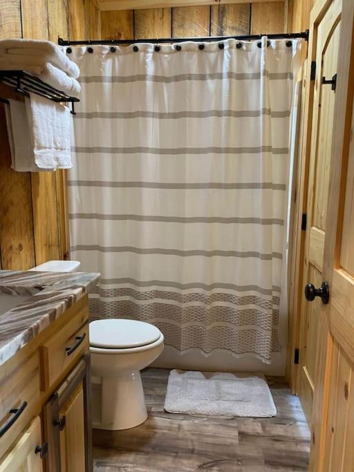 The Llaguna Lodge - New Cabin, Sleeps 10, Fire Pit, Hot Tub, In Blue Ridge , Ga Zewnętrze zdjęcie
